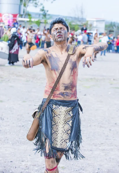 Festival of Valle del Maiz — Stock Photo, Image