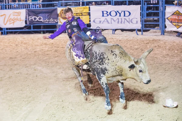 Helldorado dagen rodeo — Stockfoto