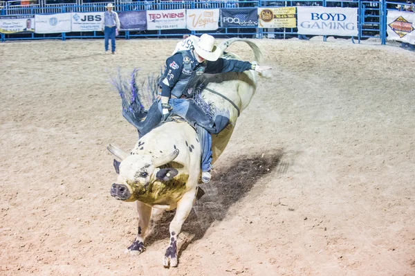 Helldorado días rodeo — Foto de Stock