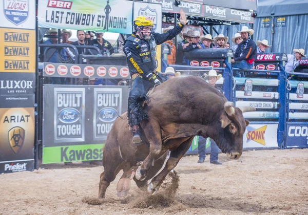 Laatste Cowboy staan — Stockfoto