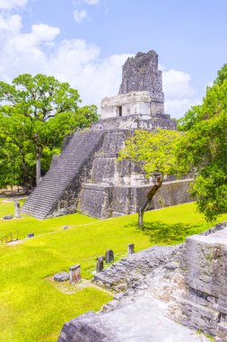 Tikal Ulusal Parkı