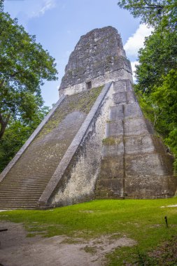 Tikal Ulusal Parkı