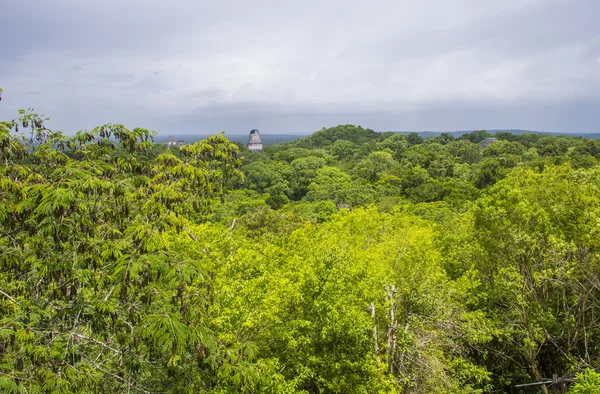 Parque nacional do tikal — Fotografia de Stock