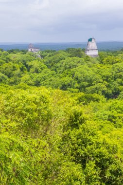 Tikal Ulusal Parkı