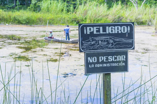 Aviso de crocodilo — Fotografia de Stock