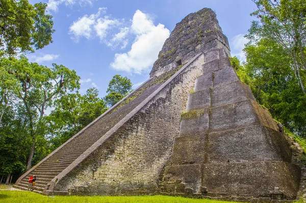 Tikal Ulusal Parkı — Stok fotoğraf