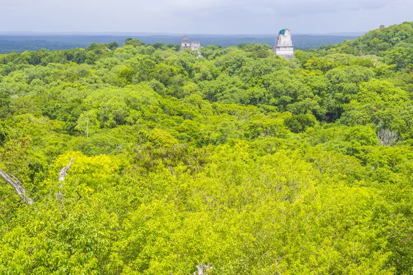 Parque Nacional Tikal —  Fotos de Stock