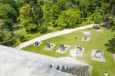 Tikal Ulusal Parkı