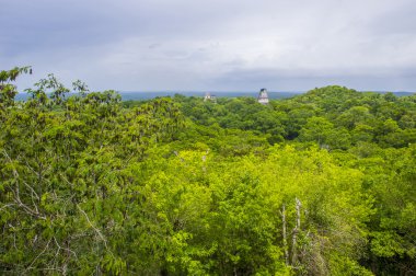 Tikal National Park clipart