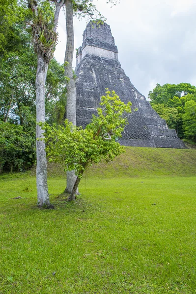 Parque nacional do tikal — Fotografia de Stock