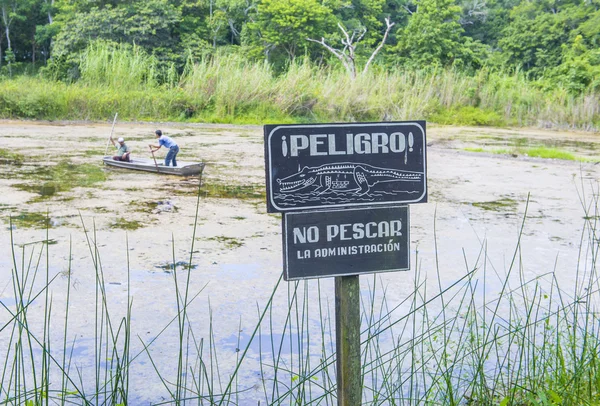 Aviso de crocodilo — Fotografia de Stock