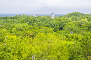 Tikal Ulusal Parkı