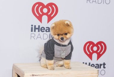 iheartradio Müzik Festivali