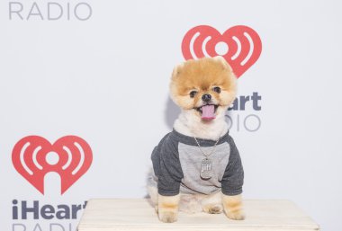 iheartradio Müzik Festivali