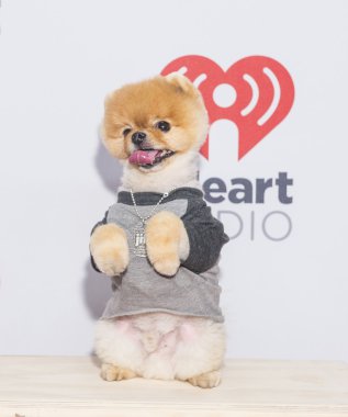 iheartradio Müzik Festivali