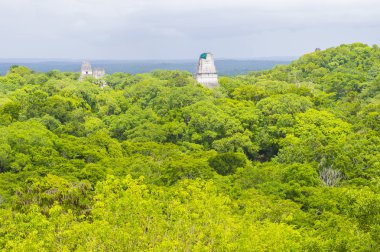 Tikal Ulusal Parkı