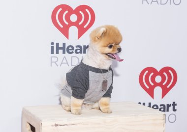 iheartradio Müzik Festivali