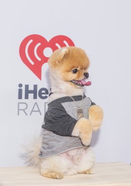 iheartradio Müzik Festivali