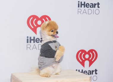 iheartradio Müzik Festivali