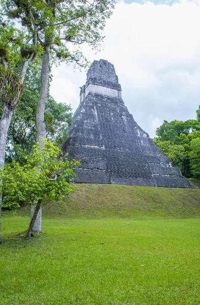 Tikal Ulusal Parkı — Stok fotoğraf