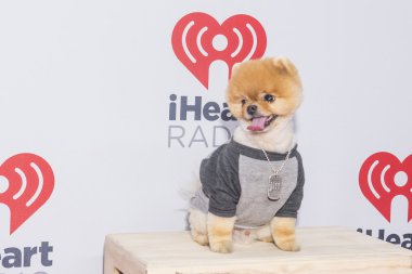 iheartradio Müzik Festivali