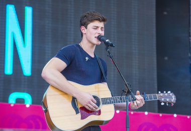 iHeartRadio Music Festival