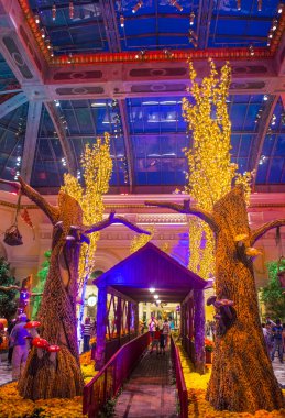 Bellagio Hotel Konservatuarı ve Botanik Bahçeleri
