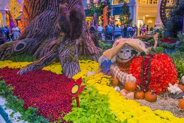 Bellagio Hotel Konserwatorium idealna ogrody botaniczne — Zdjęcie stockowe