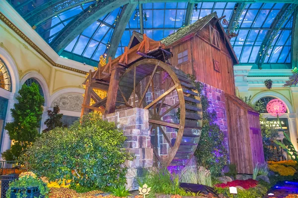 Bellagio Hotel Conservatory & Botanical Gardens — Stock Photo, Image