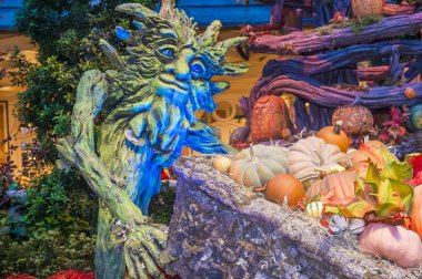 Bellagio Hotel Konservatuarı ve Botanik Bahçeleri