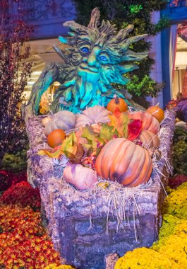 Bellagio Hotel Konservatuarı ve Botanik Bahçeleri
