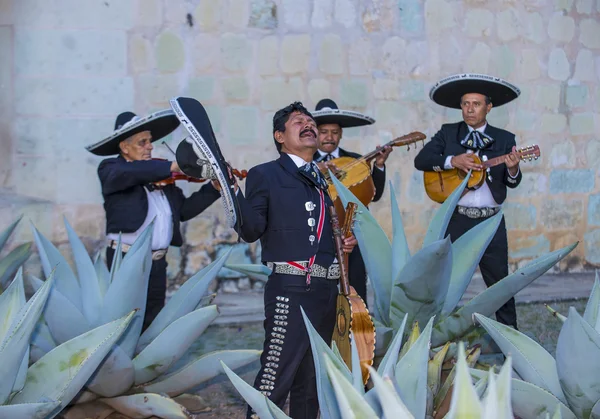 Día de los Muertos — Foto de Stock