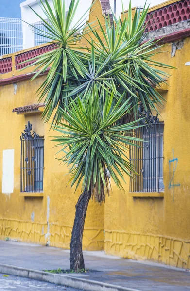 A arquitetura de Oaxaca México — Fotografia de Stock