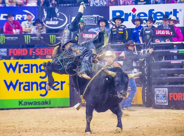 PBR bull riding world finals — Stok fotoğraf