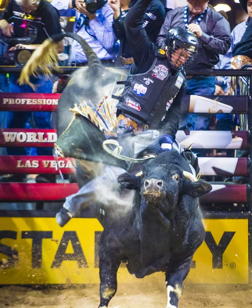 PBR toro a caballo finales mundiales — Foto de Stock