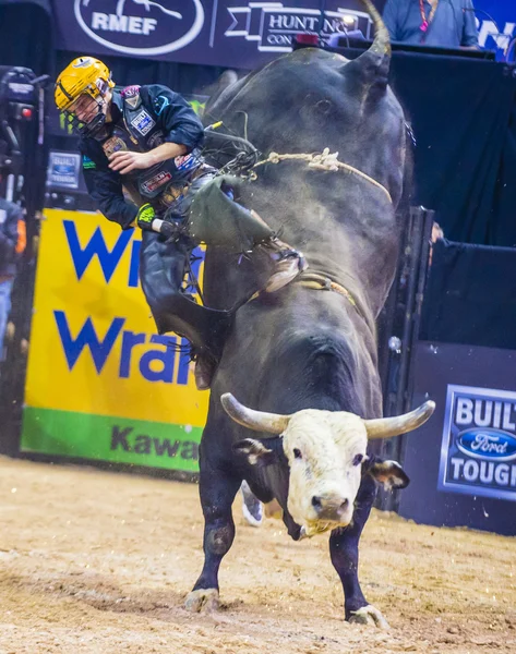 PBR bull riding world final — Stok Foto