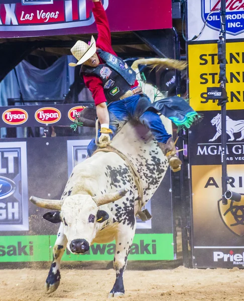 PBR bull riding world finals — 스톡 사진