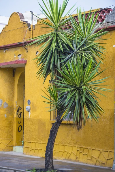 Architectural details in Oaxaca Mexico — Zdjęcie stockowe