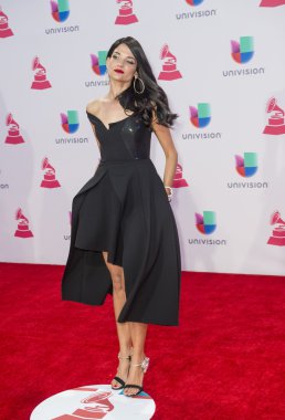 16 yıllık Latin Grammy Ödülleri