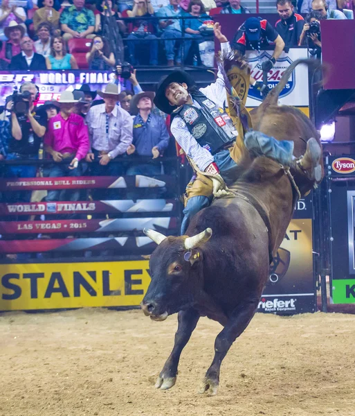 PBR bull riding world finals — Stockfoto