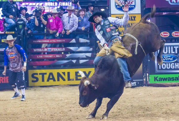 PBR bull riding world finals — 스톡 사진