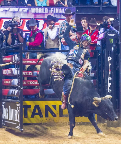 PBR toro a caballo finales mundiales — Foto de Stock