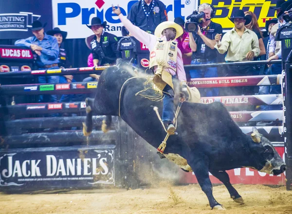 PBR bull riding world finals — Stock fotografie