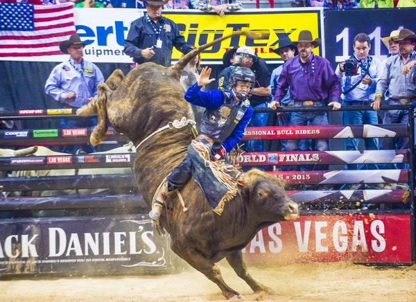 PBR bull riding world finals — 图库照片