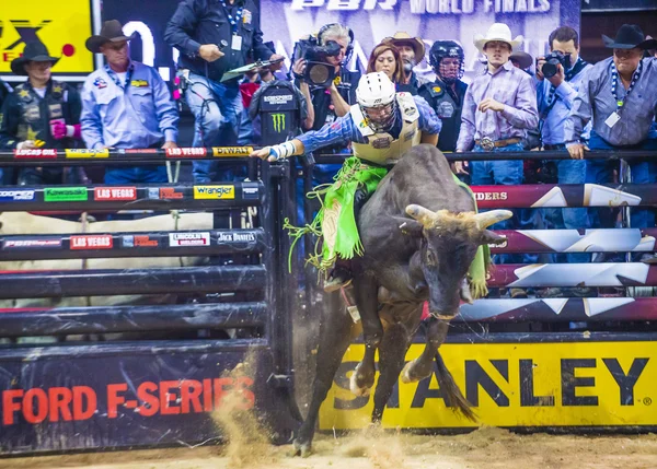 PBR bull riding world finals — Stockfoto