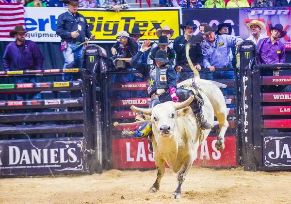 PBR bull riding world finals — 스톡 사진