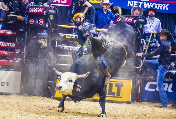 PBR bull riding world finals — Stock Photo, Image