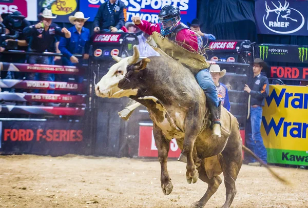 PBR bull riding world finals — Stockfoto