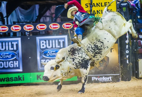PBR bull riding finali del mondo — Foto Stock