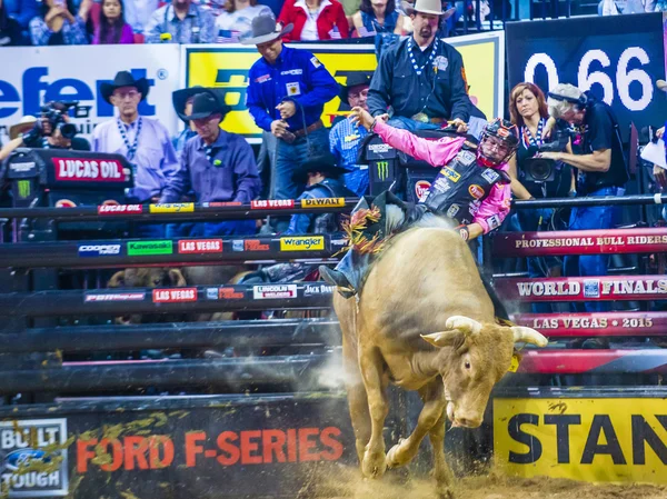 PBR bull riding world finals — 스톡 사진